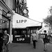 John Lipp Photo 17