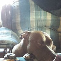 Melissa Harwood Photo 22