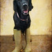 Ashley Weeks Photo 11