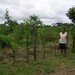 Edith Ruiz Photo 34