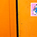 Branden Hart Photo 8