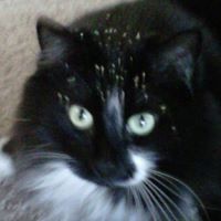 Athena Perkins Photo 3