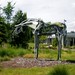 Deborah Park Photo 35