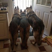 Cheryl Lyons Photo 27