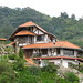 German Tovar Photo 24