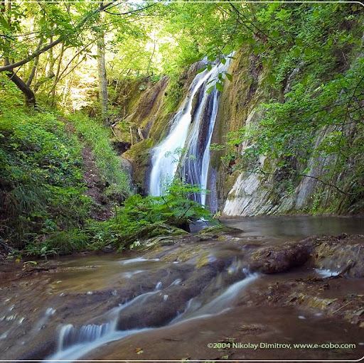 Lawrence Chen Photo 33