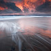David Langan Photo 12