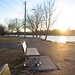 Charles Winters Photo 40