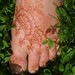 Jamie Mcalpin Photo 17