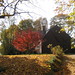 Robert Balch Photo 26
