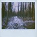 Vicki Woods Photo 13