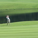 Bobby Springfield Photo 14