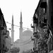 Mohammad Amin Photo 26
