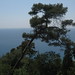 Jean Moll Photo 18