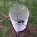 Andrew Plant Photo 29