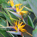 Denise Bird Photo 20