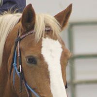 Beverly Lutz Photo 18