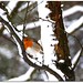 Robin Waters Photo 15