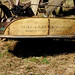 Walter Wood Photo 27