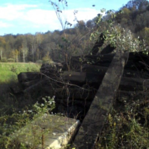 Andrea Summers Photo 37