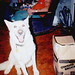 Darlene Floyd Photo 8