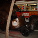 Lisa Abney Photo 27