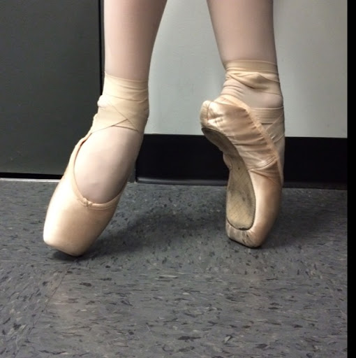 Abigail Chamberlain Photo 7