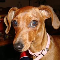 Joyce Parr Photo 6