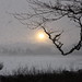 Stephen Wester Photo 17