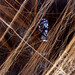 Alice Anderson Photo 37