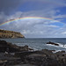 Robert Cardoso Photo 12
