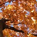 Eric Larkin Photo 40