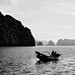Hoai Ngo Photo 12