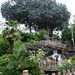 La Robinson Photo 17