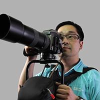 Derek Hsu Photo 17