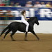 Stacy Westfall Photo 11