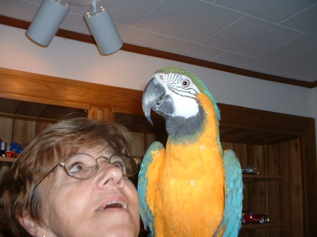 Linda Shaffer Photo 34