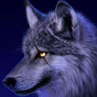 Dean Wolf Photo 39