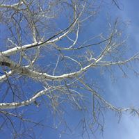 Cathy Scanlon Photo 32