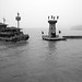 Trung Vo Photo 19