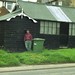 Miles Watson Photo 12