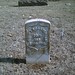 Thomas Carpenter Photo 22
