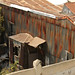 Linda Rost Photo 9