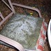 Debbie Gillespie Photo 27
