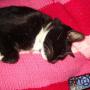 Martha Adams Photo 22