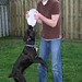 Brandon Gruber Photo 16