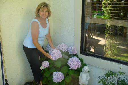 Barbara Koch Photo 3