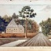 Alice Sherman Photo 30