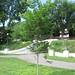 Delores Summers Photo 9