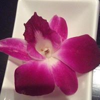 May Vang Photo 49